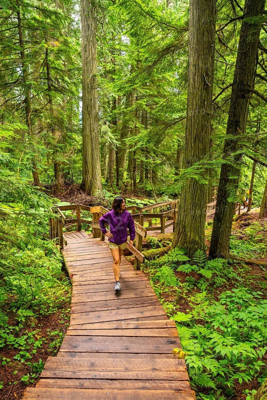 Female hiker walking down a wooden boardwalk through a lush green forest of giant cedar trees, enjoying the tranquility and beauty of nature
