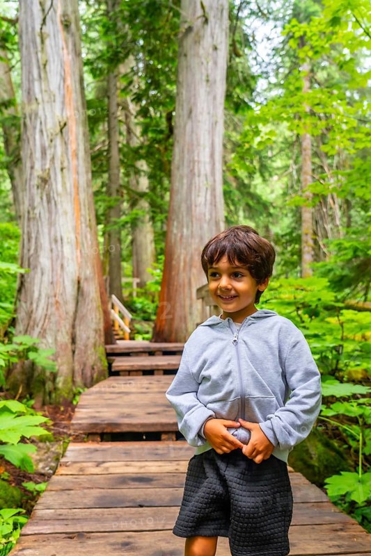 Happy child hiking along a boardwalk trail surrounded by giant cedar trees in mount revelstoke national park, celebrating outdoor adventures in nature