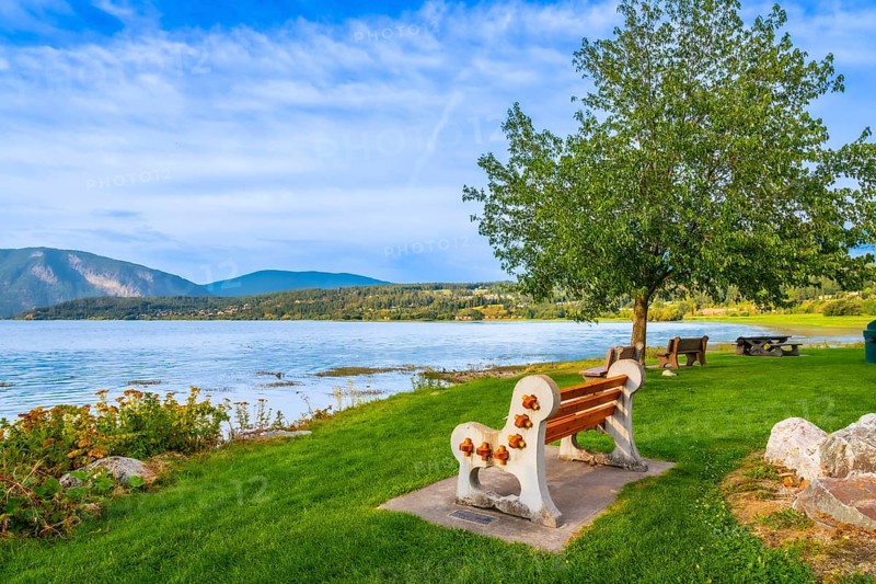 Scenic view of shuswap lake with a bench in the foreground, surrounded by lush green grass, trees, and mountains in the background, located in salmon arm, british columbia, canada