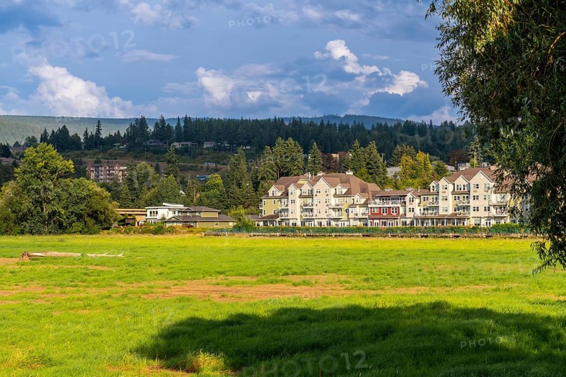 Lush green meadow stretches towards contemporary waterfront residential buildings under a cloudy sky in salmon arm, british columbia, showcasing the serene beauty of the canadian landscape
