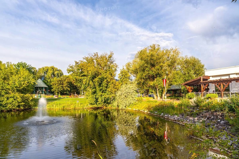 Tranquil pond with a fountain in a public park in salmon arm, british columbia, canada, surrounded by lush trees and a gazebo, reflecting the serene beauty of nature