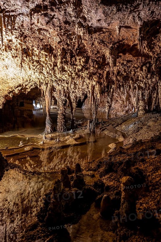 Stalactites and stalagmites, rock formations in a stalactite cave, Grotta del Fico, Gulf of Orosei, Baunei, Sardinia, Italy