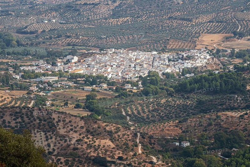 View over village El Burgo, fields with olive trees, mountain range Sierra de las Nieves, Parque Nacional Sierra De Las Nieves, Andalusia, Spain