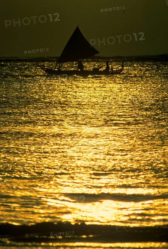 Fisherman with sailing cantilever tree at sunset, Bali, Indonesia
