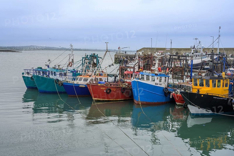 Colourful fishing boats in Oriel Harbour, Clogher, County Louth, Ireland