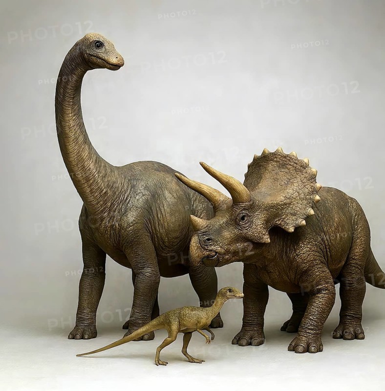 Size comparison dinosaur, a Brontosaurus, a Triceratops and a Compsognathus, fossil, extinct, prehistoric, dinosaur, lizard, prehistoric period, paleontology, reptile, AI generated