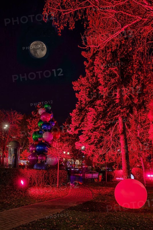 Krasnodar before the New Year. Russia