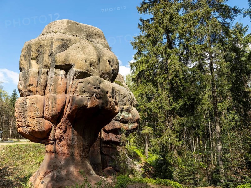 Rocks in the forest, sandstone rocks, chalice stones, Zittau Mountains, things, Germany