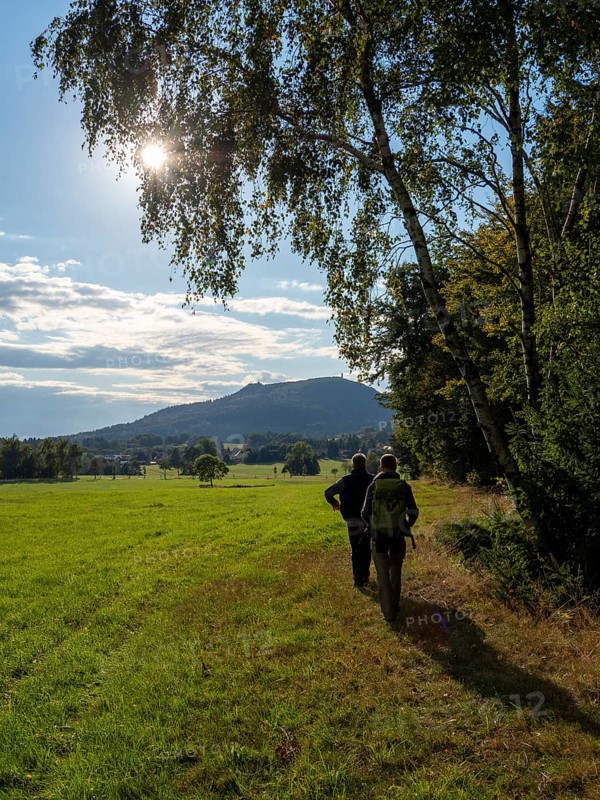 Hiker on sunny trail at Wiesenrand, Lückendorf, Zittau Mountains, Saxony, Germany