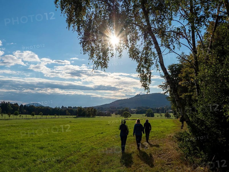 Hiker on sunny trail at Wiesenrand, Lückendorf, Zittau Mountains, Saxony, Germany