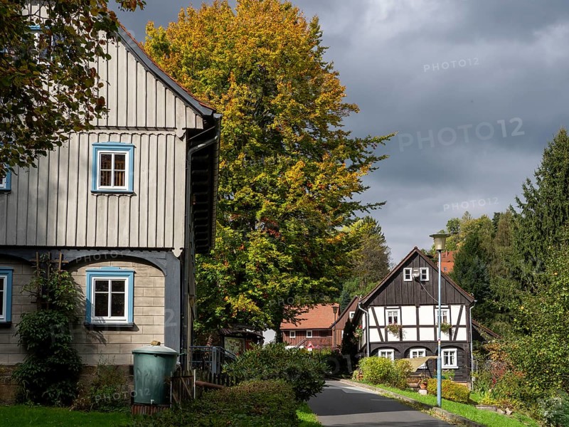 Fachwerkhäuser, Umgebindehäuser an Dorfstraße, Lückendorf, Zittau Mountains, Germany
