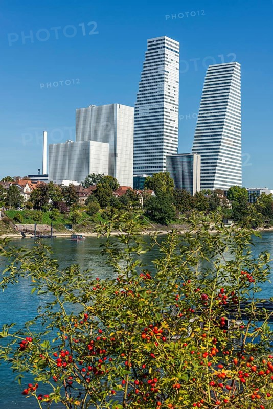 Roche Tower on the Rhine in Basel