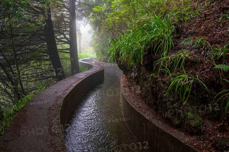 PR17 Pinaculo e Folhadal hiking trail, Levada, Irrigation Canal, Madeira, Portugal