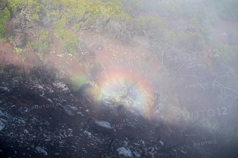 Fog thins, halo, ring of light, atmospheric phenomenon, mountains, Madeira, Portugal
