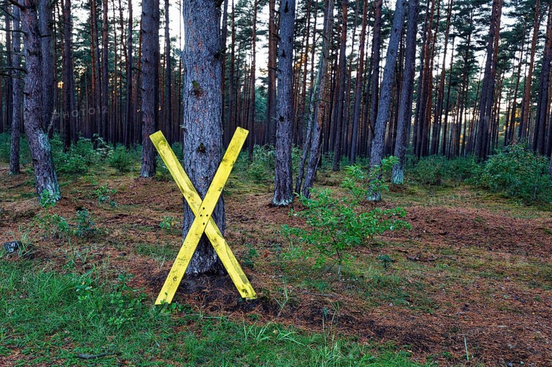 Yellow wooden cross, X on a tree, symbol, resistance against nuclear power, anti-nuclear power movement, peaceful protest against nuclear energy, nuclear waste transport, Gorleben interim storage facility, Lüchow-Dannenberg, Wendland, Germany