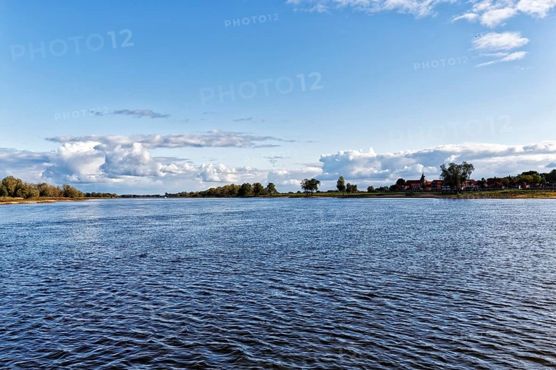 River landscape near Hitzacker, Lüchow-Dannenberg, Wendland, Elbe, Elbe floodplain, Germany