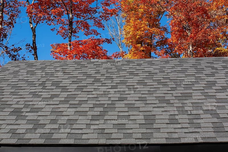 Gable rooftop with nuanced dark and light grey asphalt shingles with Acer - Maple trees in background in early autumn, Quebec, Canada