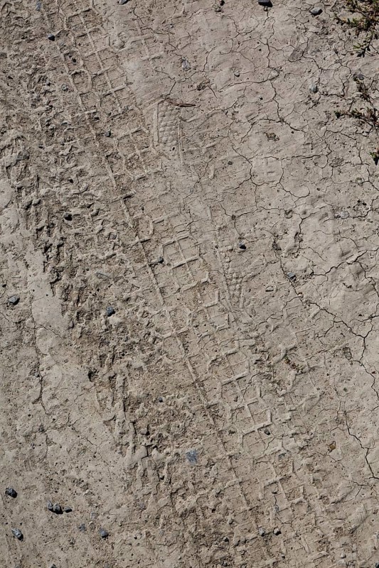 Close-up of multiple bicycle tire tracks in dried light tan mud in late summer, Quebec, Canada