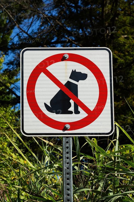 Posted white, red and black pictogram sign warning that dogs are not allowed or forbidden in public park, Quebec, Canada