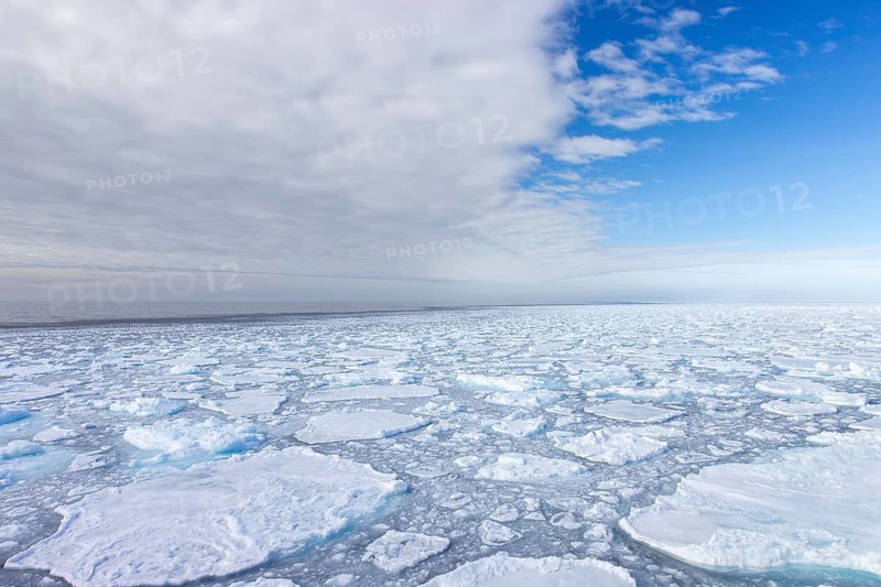 Drift ice / brash ice, floating field of sea ice composed of several ice floes in the Arctic Ocean at Svalbard / Spitsbergen, Norway