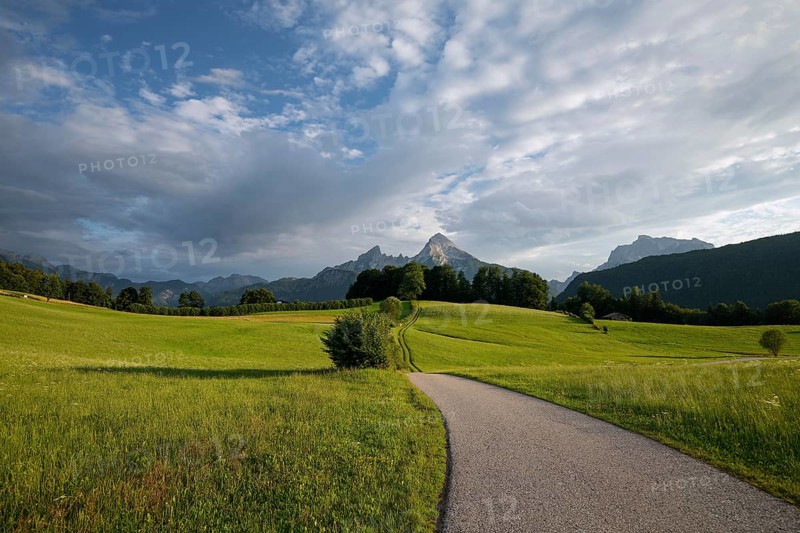 Watzmann at sunset, with meadow and pasture in summer, sunbeams and clouds. Berchtesgaden, Bayern, Germany