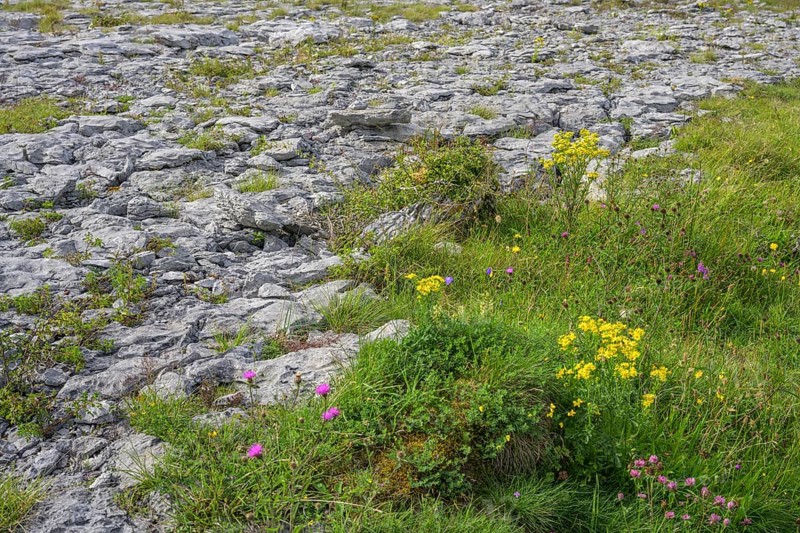 Karst landscape of the Burren, Keelhilla, Carran, County Clare, Ireland