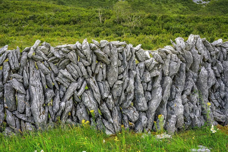 Stone wall in the karst landscape of the Burren, Keelhilla, Carran, County Clare, Ireland