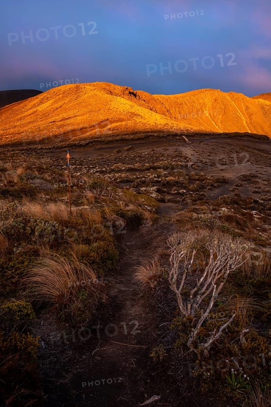 Volcanic landscape, Tama Lake Walk (Tama Lakes Track), evening light, sunset. Tongariro National Park, North Island, New Zealand