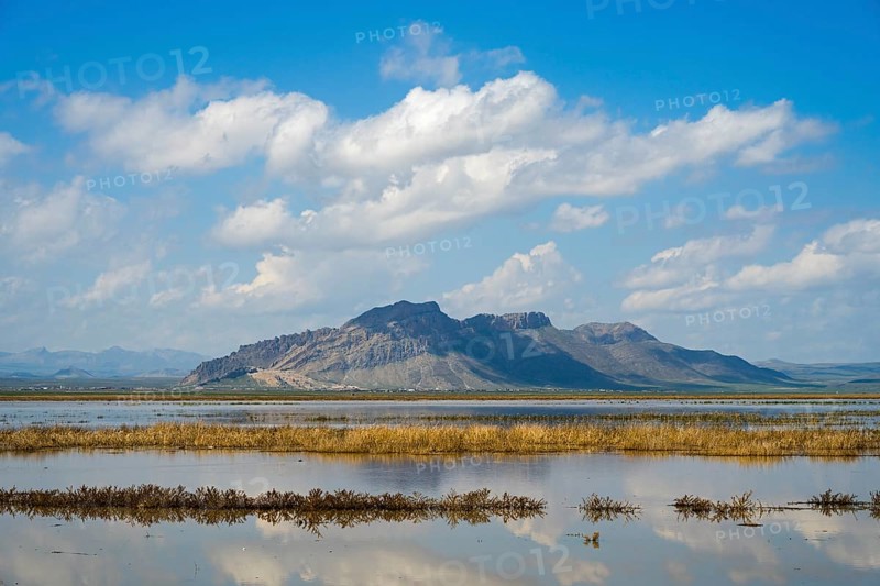 Peaceful mountain landscape with reflecting water and grassy shores under blue sky, Dogubayazit swamps, wetland near Cevirme, Dogubayazit, Dogubayazit, Dogubeyazit, Agri Province, Agri, Eastern Anatolia, Anatolia, Turkey
