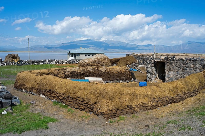 Rustic landscape with traditional clay construction and meadow under clear sky, cow dung to dry and as a wall, Demirtepe, Dogubayazit, Dogubayazit, Dogubeyazit, Agri Province, Agri, Eastern Anatolia, Anatolia, Turkey