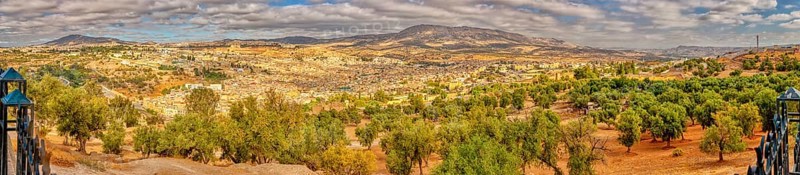 Wide mountain landscape with olive groves under a vast sky