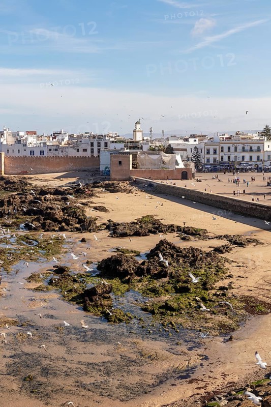 View of the coastline with city walls, sand and flying seagulls in clear skies