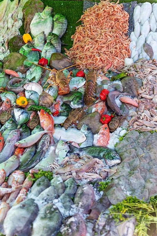 A colorful mix of fish and seafood at a market