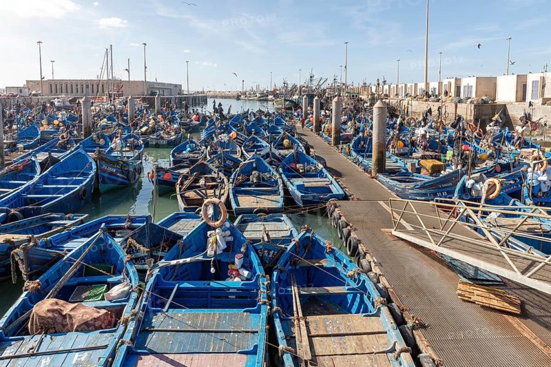 Bustling fishing port with numerous blue boats, people at work and seagulls in the air