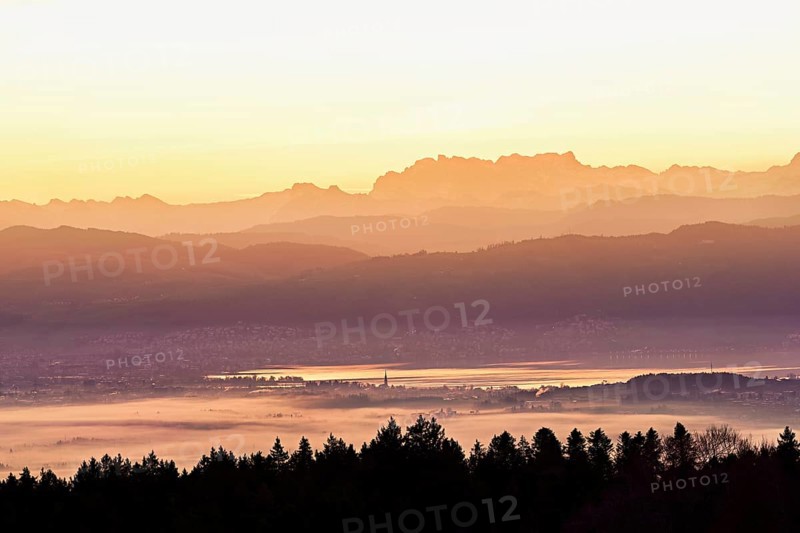 View from Horben of Lake Zug with the city of Cham and Zug covered in fog, behind it the snow-capped mountains Flübrig and Vrenelisgärtli in the light of the rising sun, Beinwil-Freiamt, Canton, Aargau, Switzerland