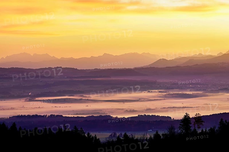 View from Horben of the Reuss Valley covered in fog, behind it the Alpstein with the Säntis in the light of the rising sun, Beinwil-Freiamt, Canton, Aargau, Switzerland