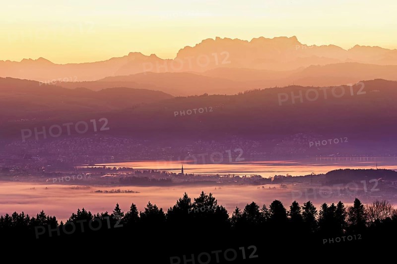 View from Horben of Lake Zug with the town of Cham and Zug, behind it the snow-capped mountains Flübrig and Vrenelisgärtli in the light of dawn, Beinwil-Freiamt, Canton, Aargau, Switzerland