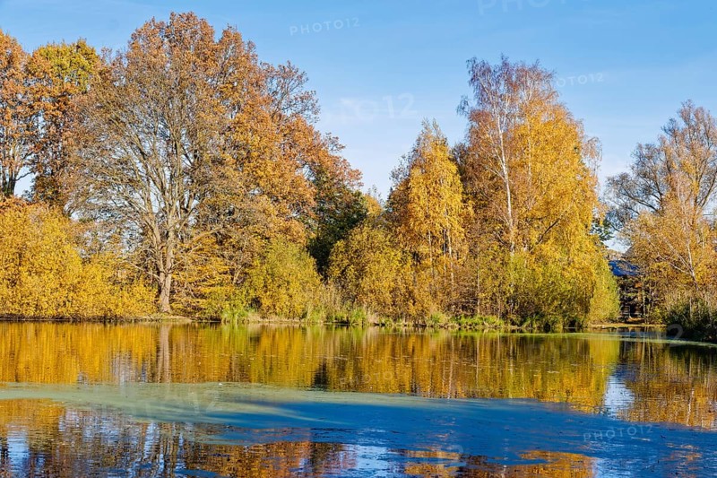 Autumn colors on Sandbrack, a lake in the Kirchwerder district of Hamburg. Fünfhausen, Kirchwerder, Hamburg, Germany