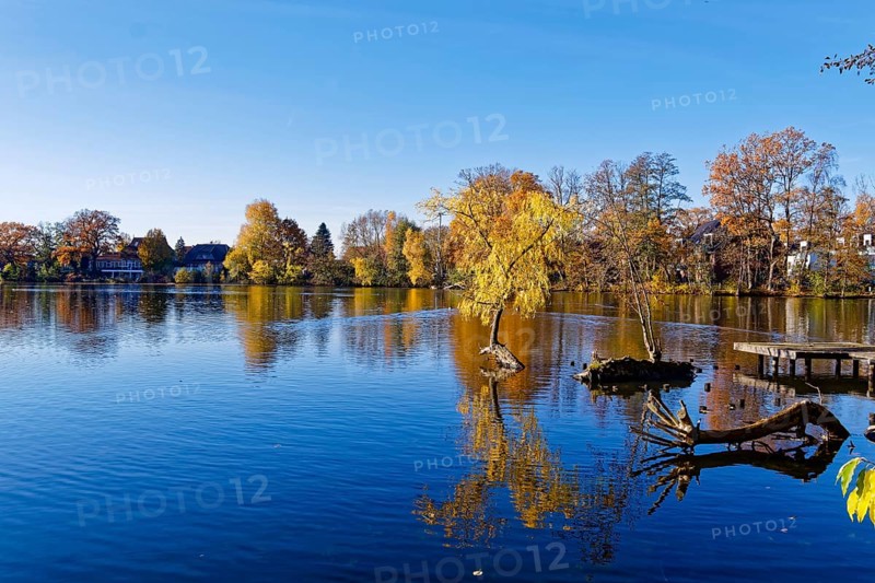 Autumn colors and a fishing platform on Sandbrack, a lake in the Kirchwerder district of Hamburg. Fünfhausen, Kirchwerder, Hamburg, Germany