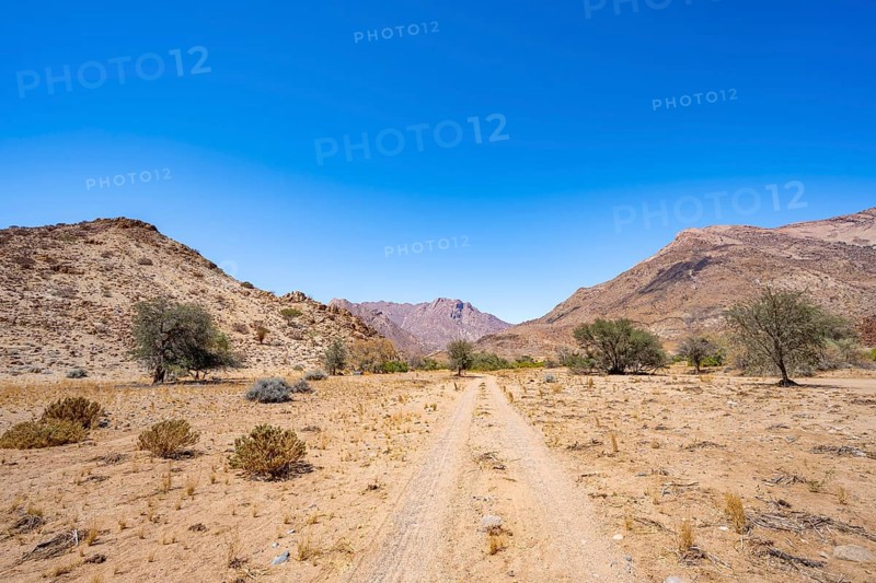 Sand track leads through desert landscape with Brandberg, Erongo, Damaraland, Namibia