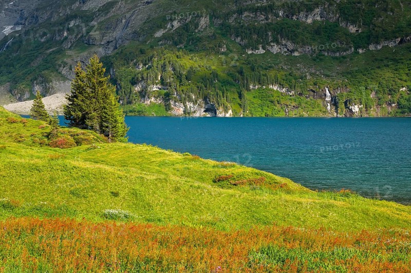Engstlensee near Engstlenalp, Canton of Bern, Switzerland