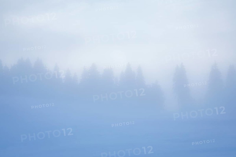 Thick fog slowly clears over snowy landscape