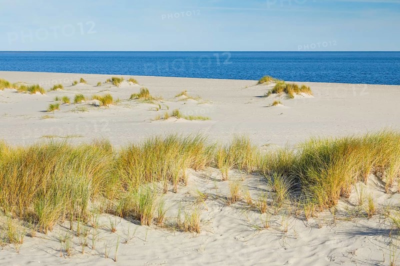 Sand dunes and an elbow beach on the island of Sylt, Germany