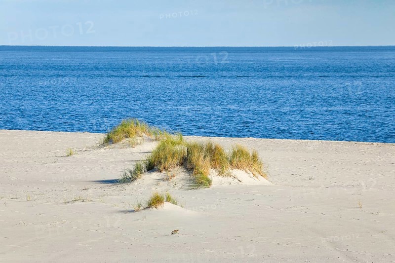 Sand dunes on the elbow on the island of Sylt, Germany