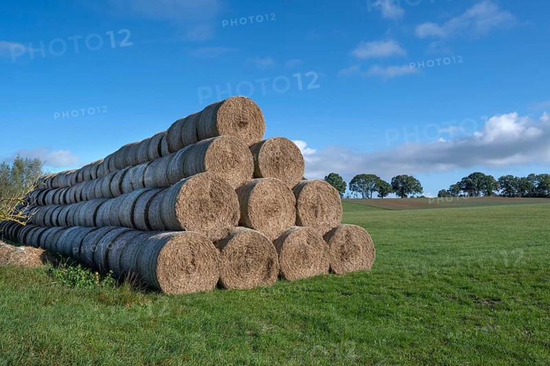 Stacked round straw bales from the agricultural cooperative on a meadow, Othenstorf, Mecklenburg-Western Pomerania, Germany