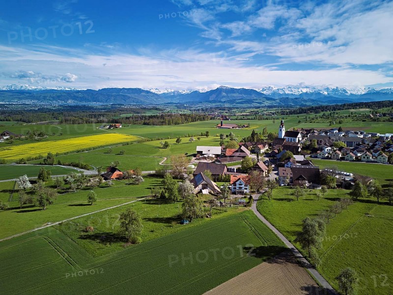 View of town with field of blooming rapeseed, Rigi and the snowy Alps in the back, Beinwil, Freiamt, Canton, Aargau, Switzerland