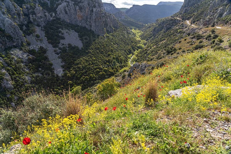 The Manikia Gorge on the island of Euboea or Evia, Greece