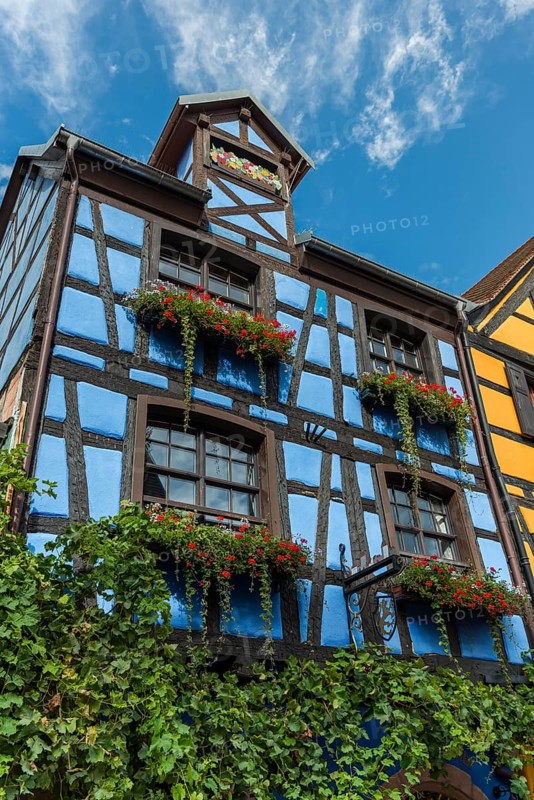 Decorated timber-frame house in the historic old town of Riquewihr, Ellsass