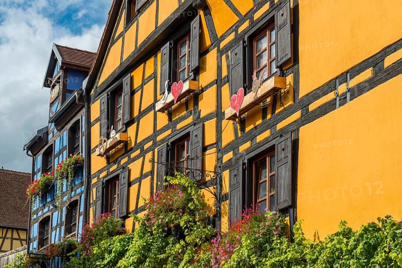 Decorated timber-frame house in the historic old town of Riquewihr, Ellsass