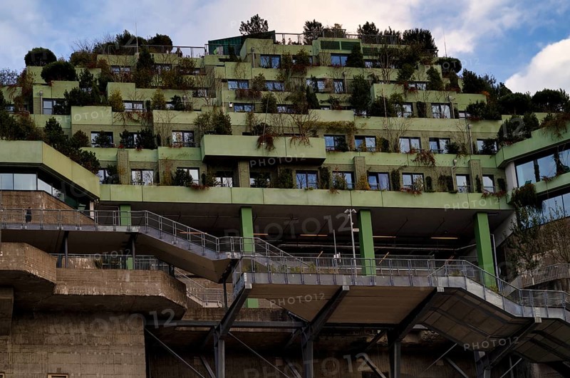 Climate-neutral façade greening, Heiligengeistfeld, Hamburg Bunker, former anti-aircraft bunker, St. Pauli, Free and Hanseatic City of Hamburg, Germany